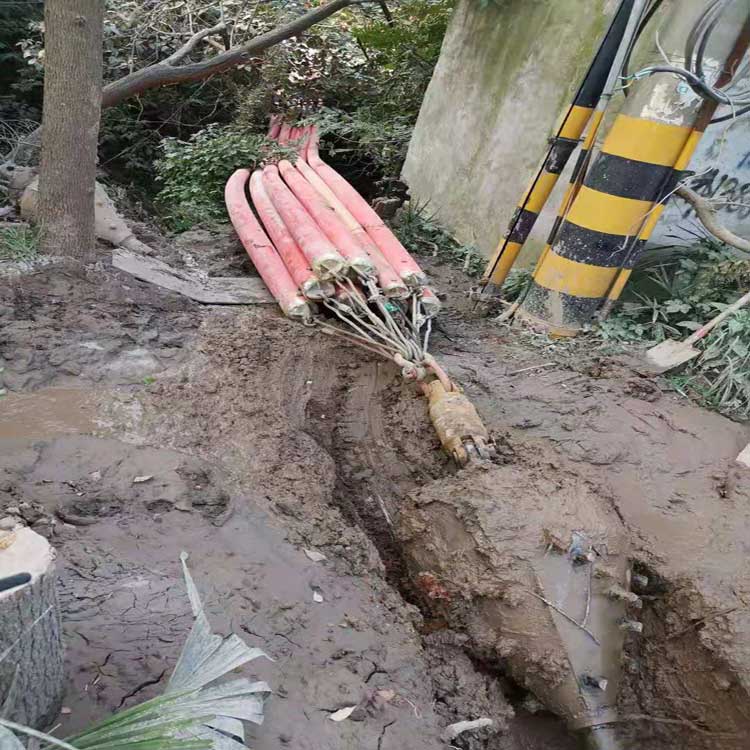 额济纳拖拉管